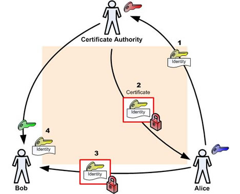 Digital certification Digital certification